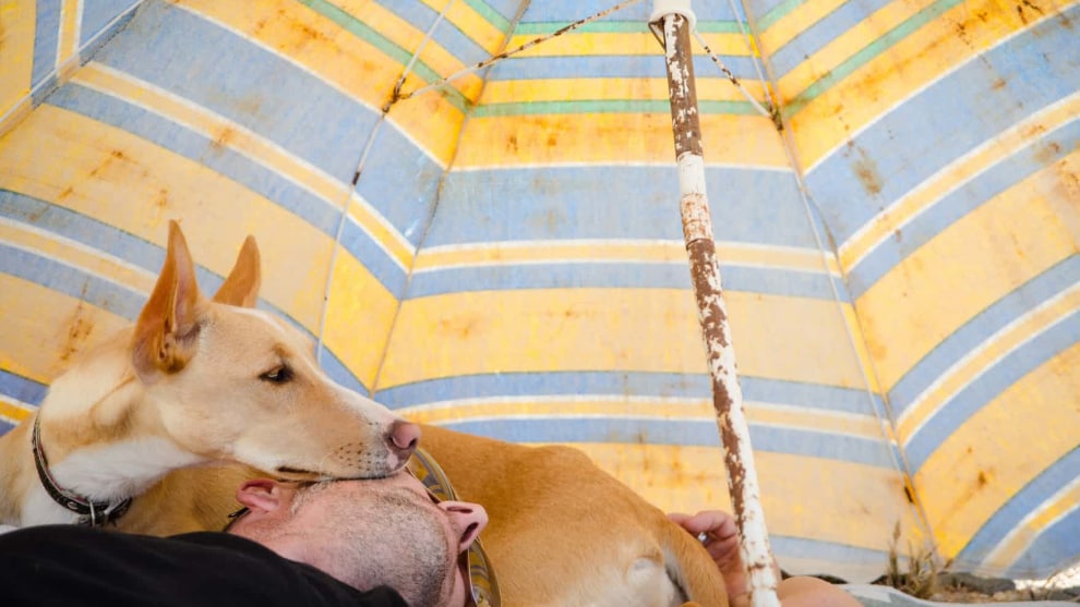 First place, Man&rsquo;s Best Friend by Joana Matos. An image of Godji.