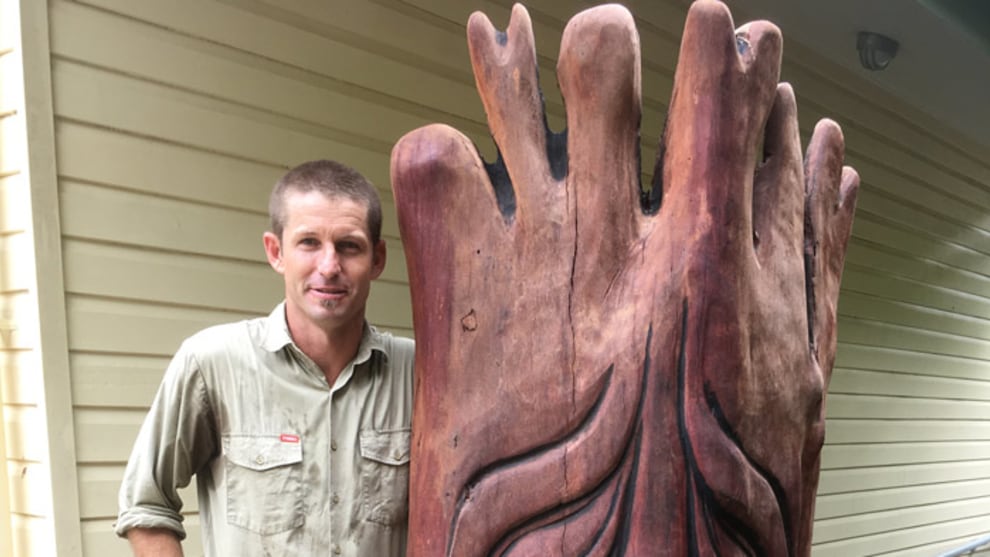 Bee Hives tree spirit installed. Photo: Wendy Birrell