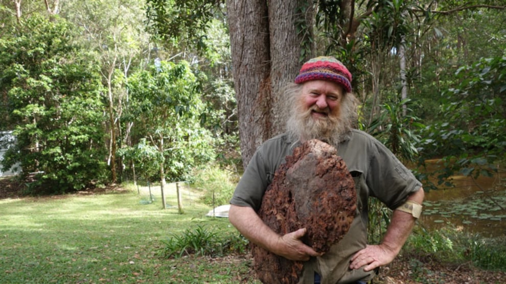 Bill Dorman. Photo: Anne Harris