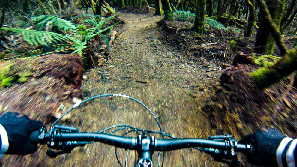 Descending the Blue Tier on the Big Chook trail.
