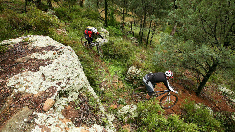 There's heaps of variety in the trails at Gurie - from beginner trails to stuff that will entertain more experienced riders.