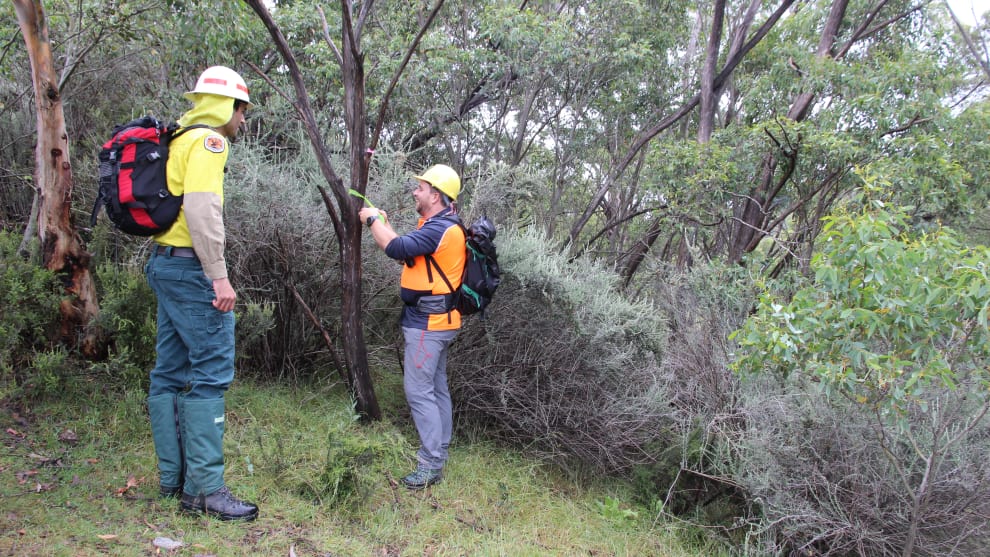 It's over a year since work began on the Thredbo Valley Track extension and the first section is now ready to ride.