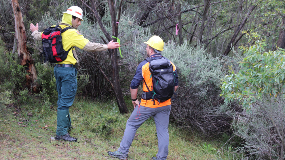 The build process begins with the route being flagged out. This extension of the TVT will travel through some relatively untouched bushland along the Thredbo River.