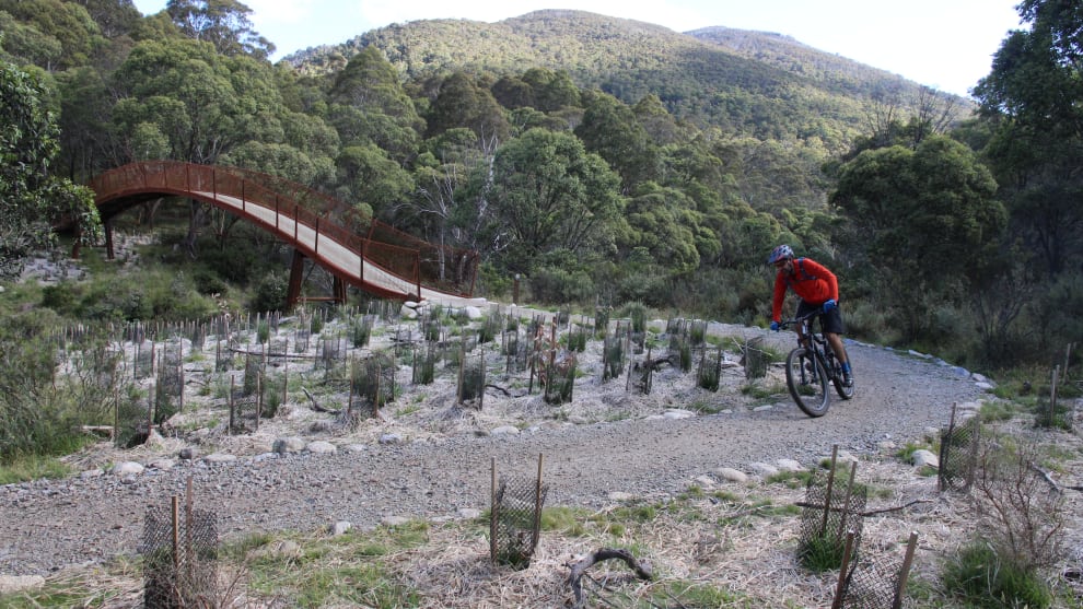 The upper TVT remains a fantastic trail for beginners whilst still being fun for advanced riders&mdash;just keep your speed in check and look out for walkers.