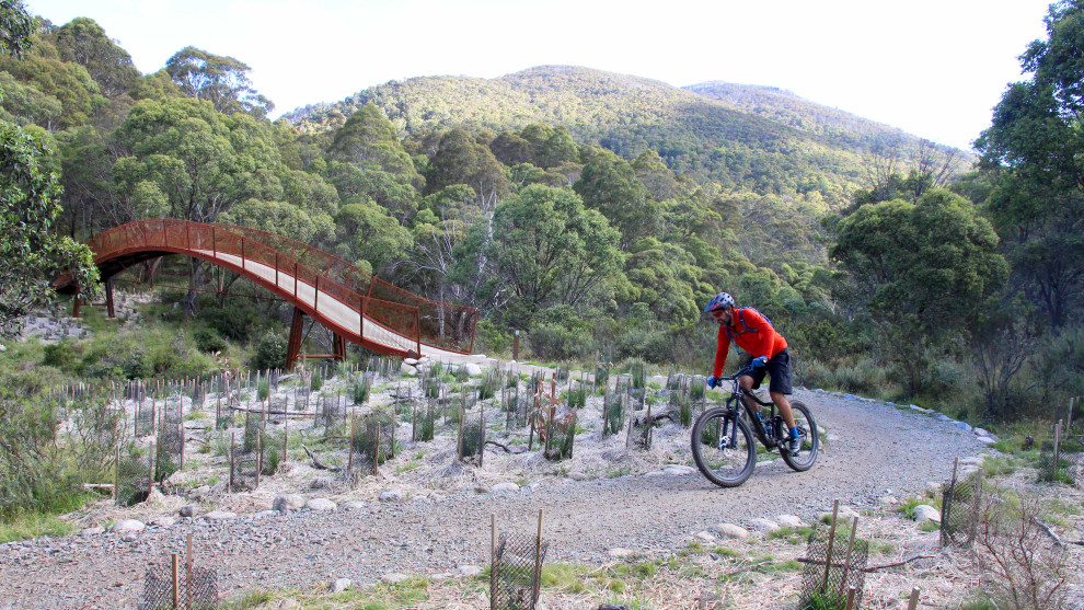 Much of the Upper TVT is easier 'green' rated trail but the new lower section will ne an intermediate trail.