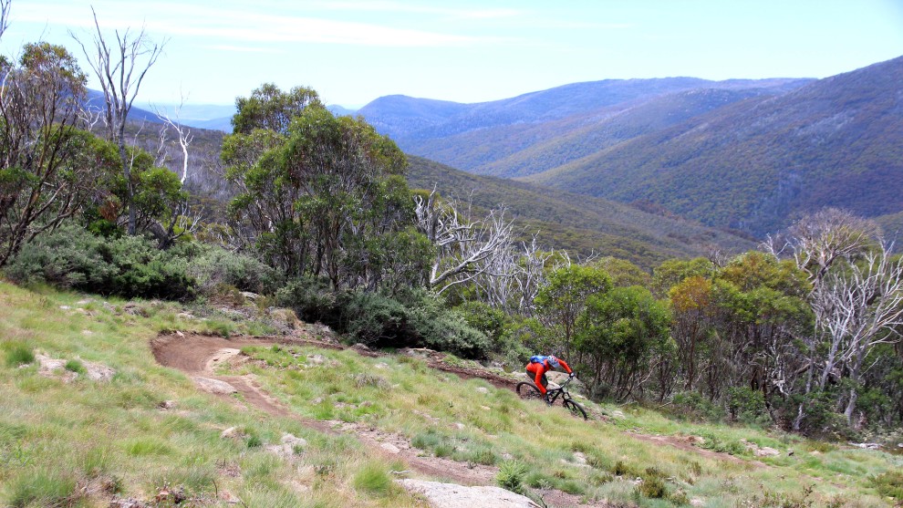 Loads of sweeping turns and flow on the All Mountain trail.