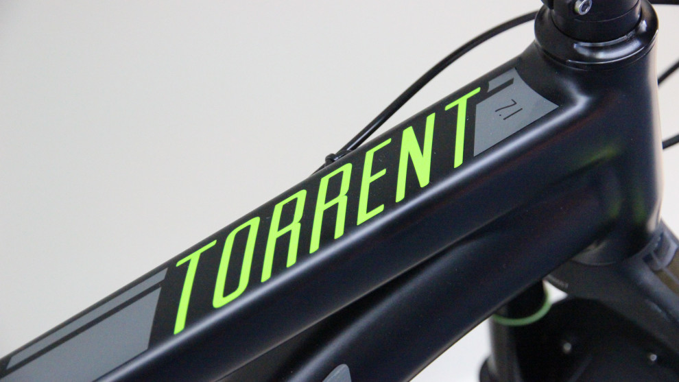 Colour matched graphics to go with the DVO suspension.