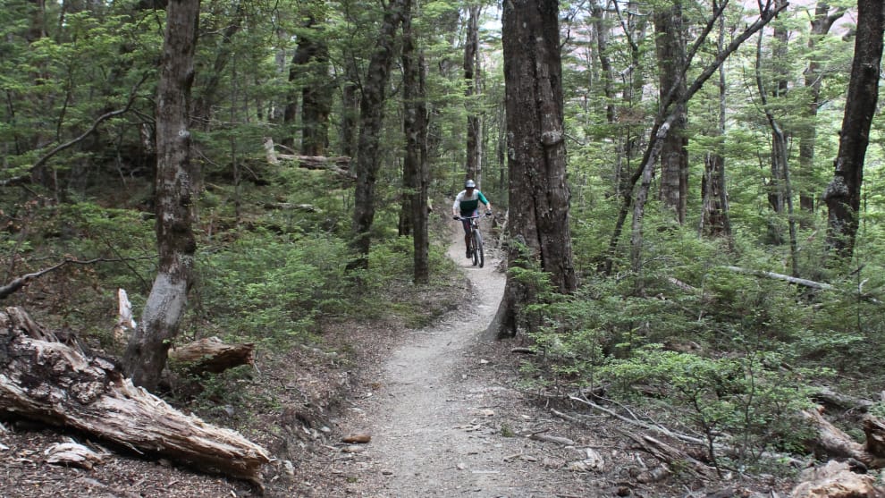 Venture beyond the bike park if you can&mdash;there's some amazing riding through the beech forest high above Queenstown.