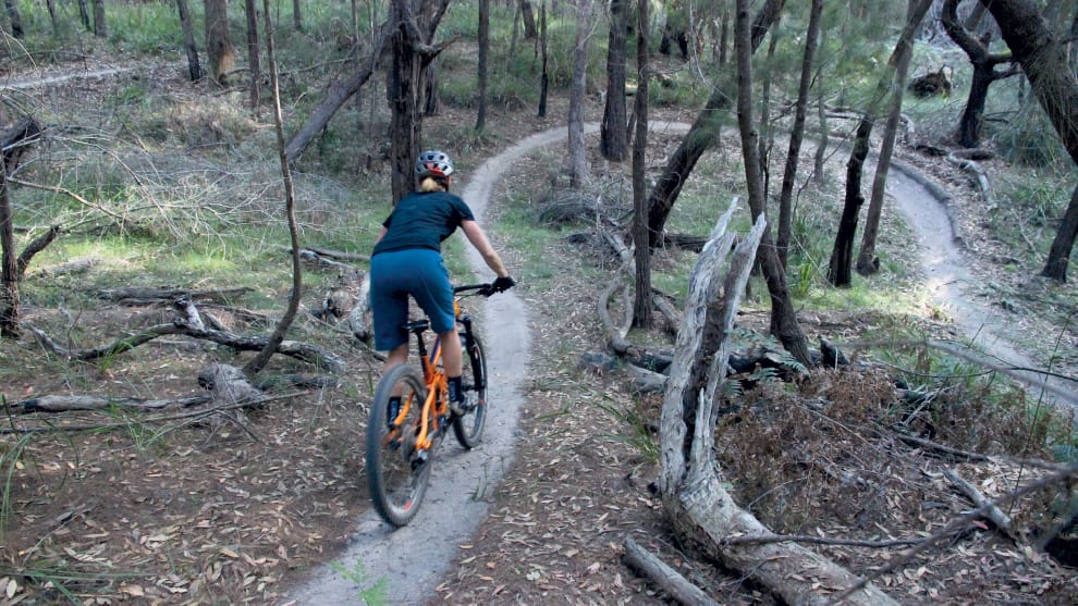 Feel the flow! Wonderfully smooth and groomed trails on the Fire Shed loop.