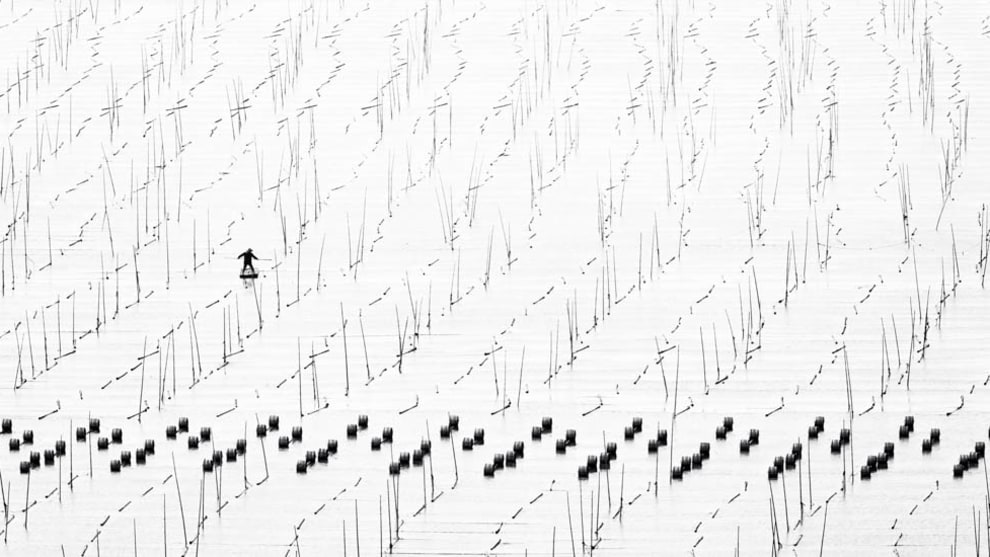 Zay Yar Lin, Endless Seaweed Farms, Xiapu, China