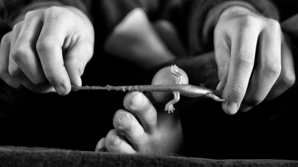 &copy; Craig Madsen