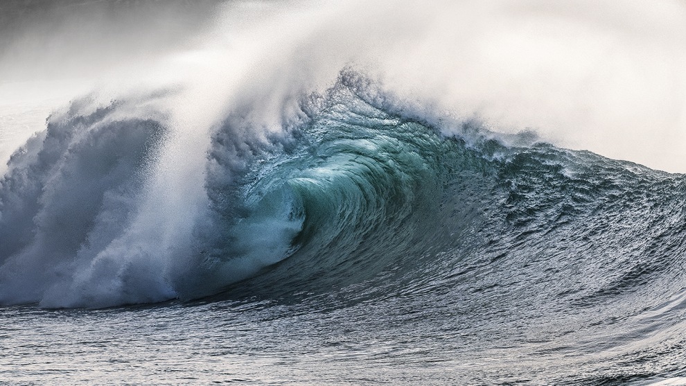 Backlit Beauty &copy; Matt Pearson