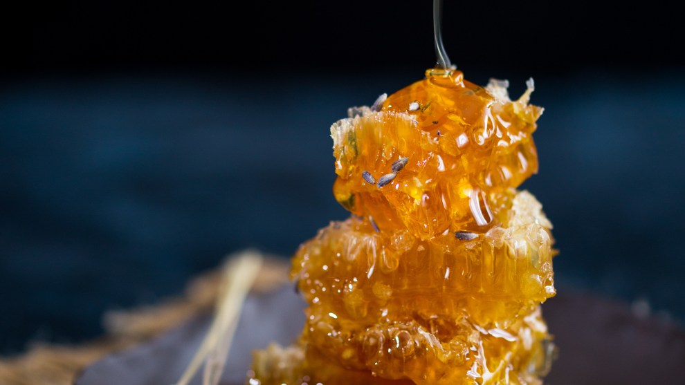Food Bloggers - Aniko Lueff, UK. Honeycomb. Little honeycomb pieces are stacked on a dark plate.