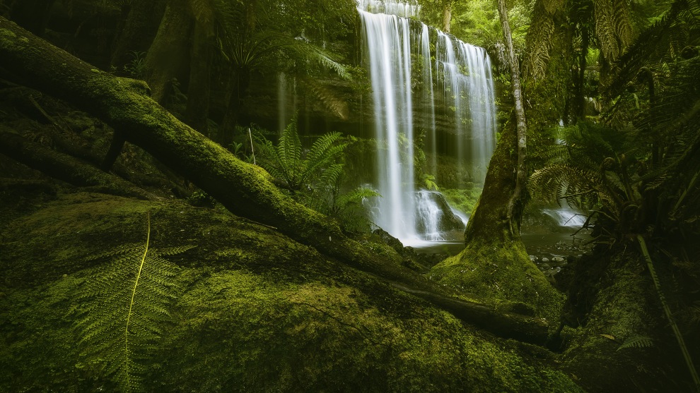 I&rsquo;ve spent a fair bit of time photographing Russell Falls in Mount Field National Park. I found this fern leaf resting on a moss covered tree that (in my mind at least) could lead the eye from the fern along the tree to the right and then to the base of the next tree in the mid-ground, before finally landing at the base of the falls. Sony A7R, 16-35mm f/4 lens. 1s @ f16, ISO 200.