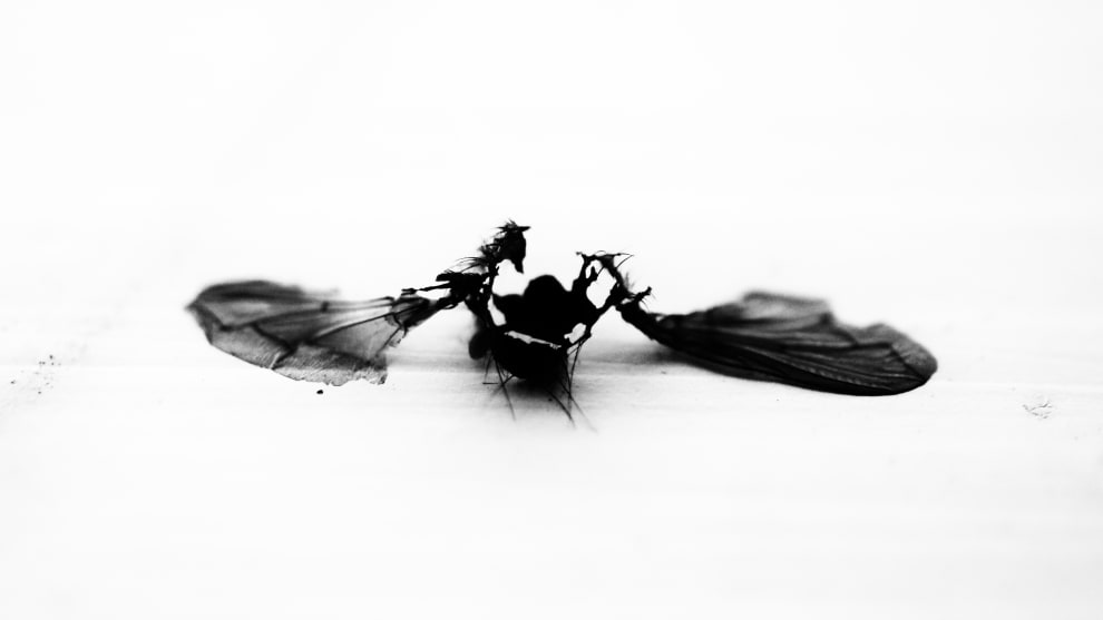 &copy; Cooper Madsen