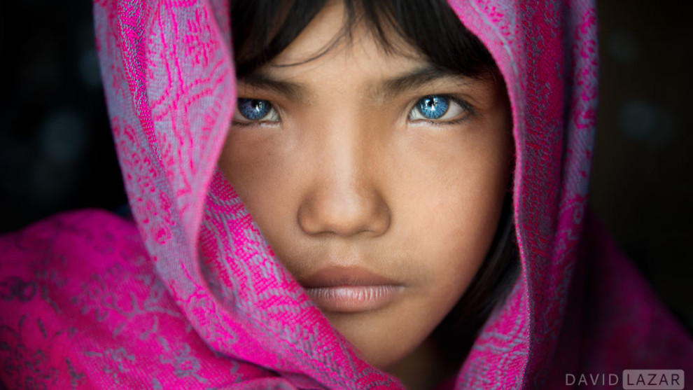 &copy; David Lazar