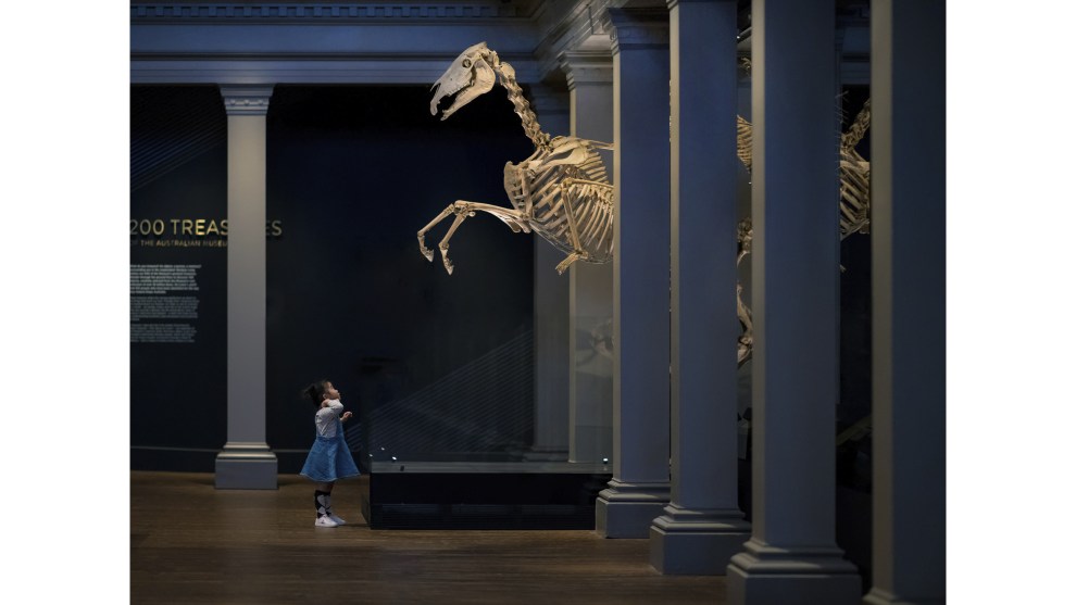 Derek Zhang, 'Night at the Museum: Summon of the Horse'. Winner, 2018 Photo of the Year (single).