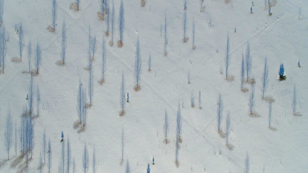 &copy; Maksim Taroslav.