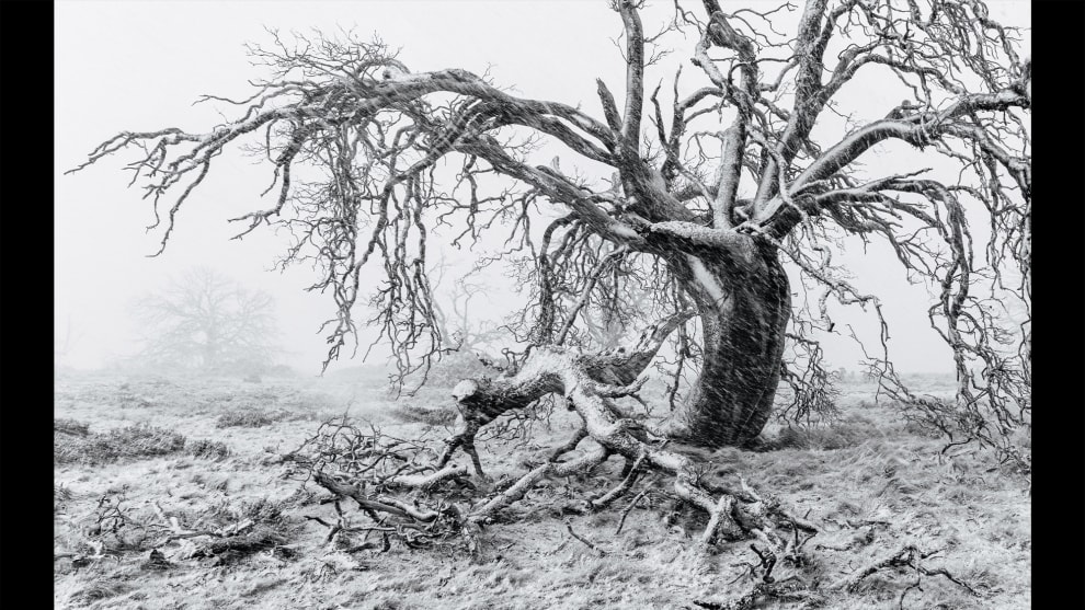 &copy; Joy Kachina, Runner-Up, Landscape Category 2025