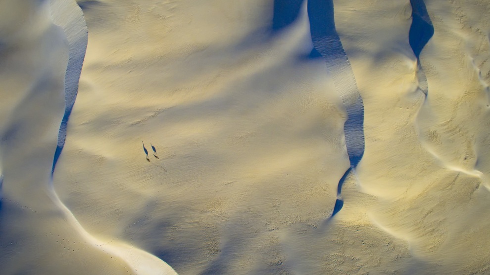 Winner: Josh Tagi &lsquo;Evening Shadow&rsquo;, St Ives NSW