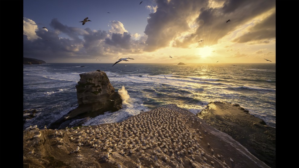 &copy; Larn Berge, Winner, Seascape Category 2025