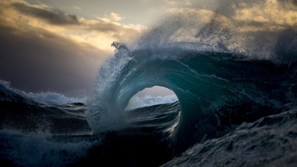 Image: Ray Collins