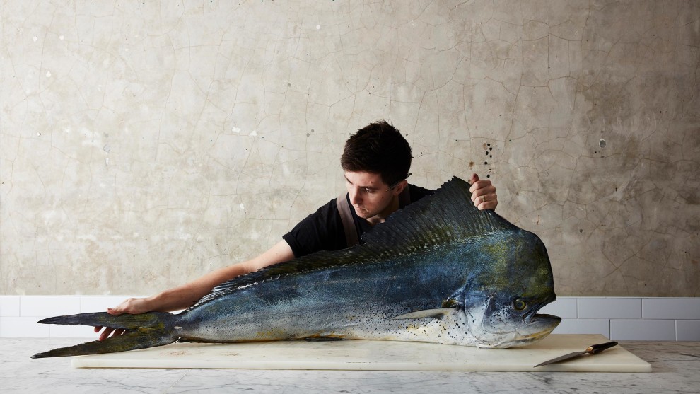 &copy; Rob Palmer. The mahi-mahi, 2019. National Photographic Portrait Prize 2020 - Overall winner. Josh Niland, head chef and owner of Saint Peter restaurant, is reinventing what can be done with fish, and &ndash; most importantly &ndash; with every part of the fish, in a huge effort to drastically reduce wastage. His trailblazing work has received enormous praise from the likes of Jamie Oliver and Nigella Lawson.