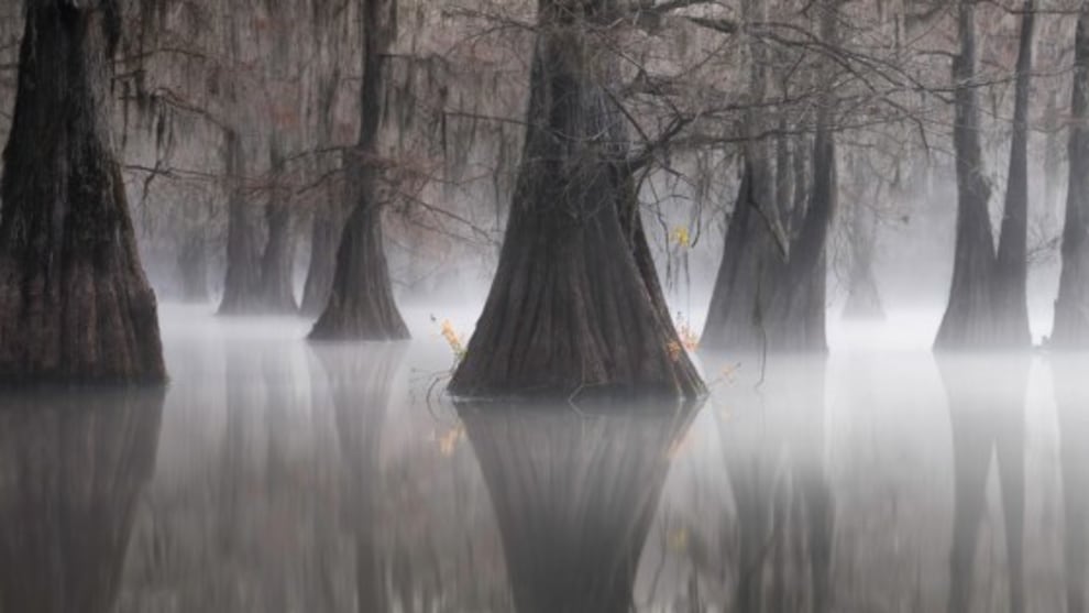 &copy; Joshua Hermann. Eternal Triangle, Louisiana, USA. Epson International Pano Awards 2021 &ndash; Winner Nature/Landscape (Open) category and overall winner in the Open category.