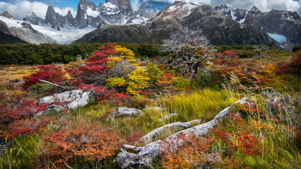 &copy; Ignacio Palacios
