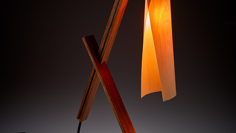 Jamie Dobbs HIkari lamp. Photo: Peter Whyte