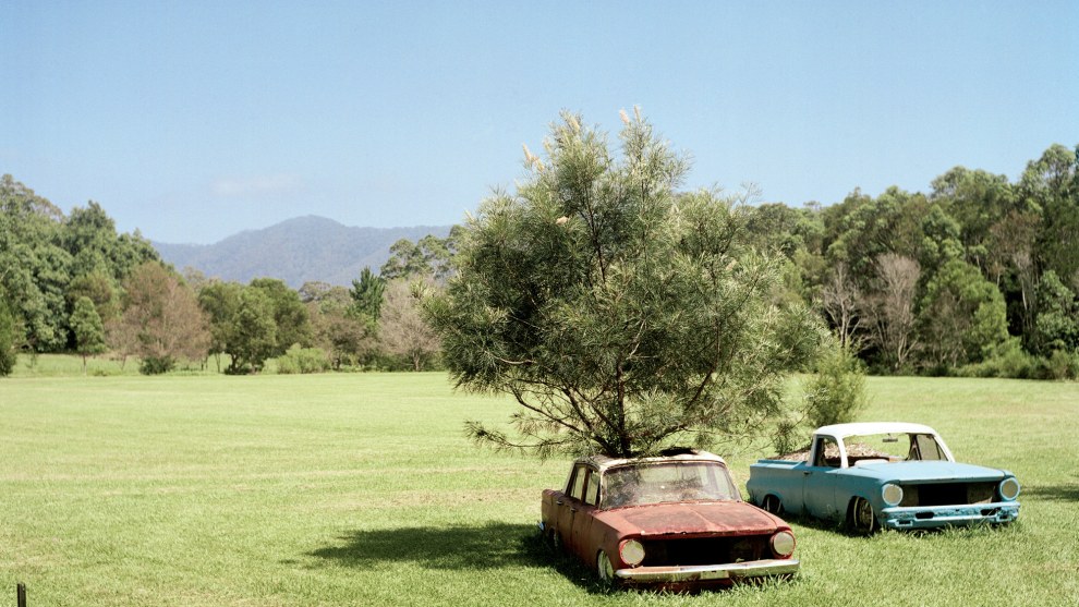 Jon Reid, Bonville, NSW