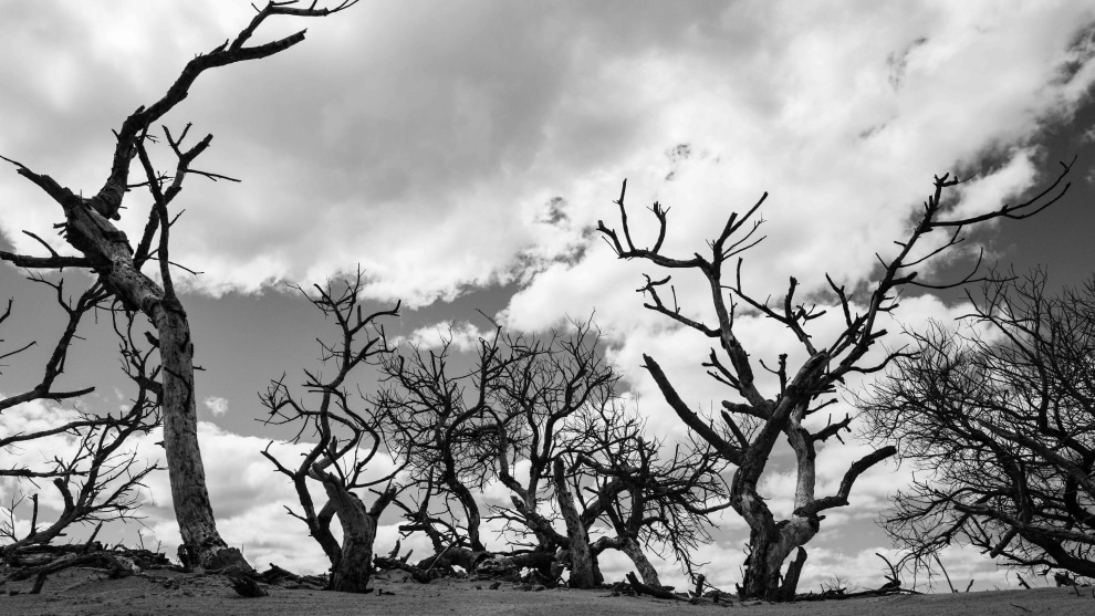 Even the beach has plenty of great subjects. A quick tip if you can't find a clean background for your subject is to get low and shoot against the sky. Leica Q2, 28mm lens. 1/2500s @ f8, ISO 400.