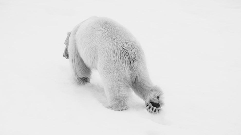 &copy; Andy Mann/Courtesy of Vital Impacts