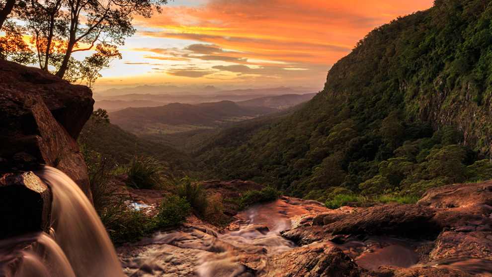 Lamington National Park, Queensland. Photo by Ryan Fowler.