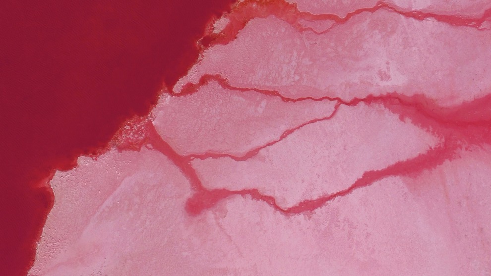 Carmen Keeffe - Pink lake