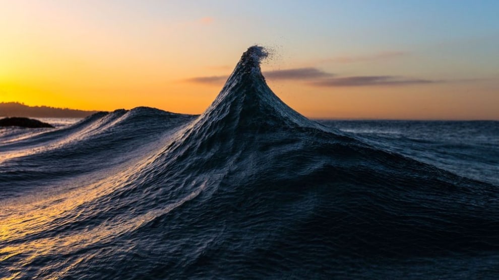 The winning photograph in the Natural World category (Credit: Oreon Strusinski)