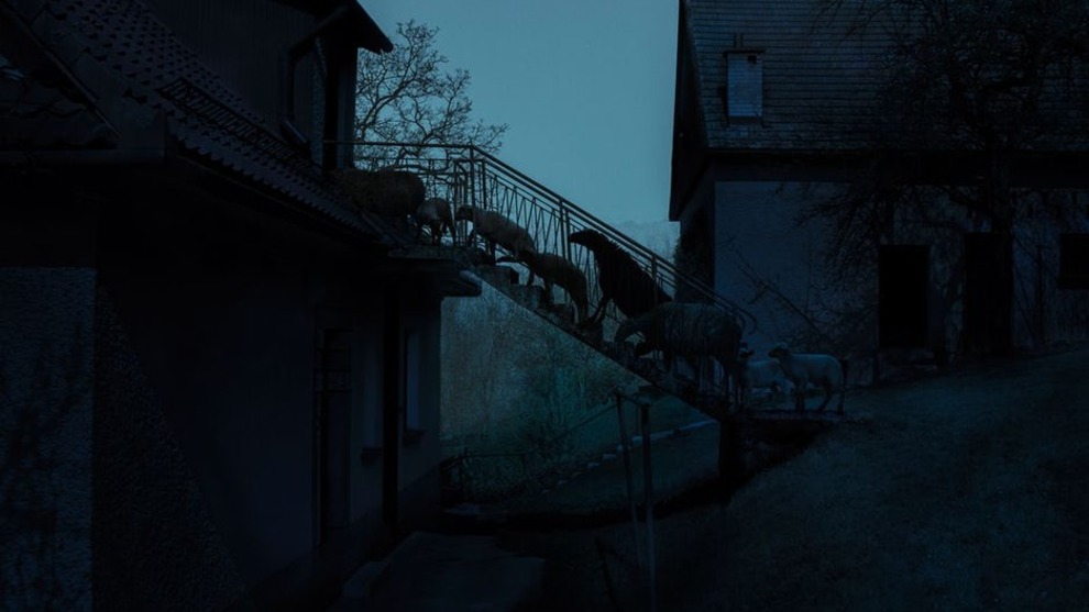 The winning photograph in the Altered Images category (Credit: Adam Żądło)