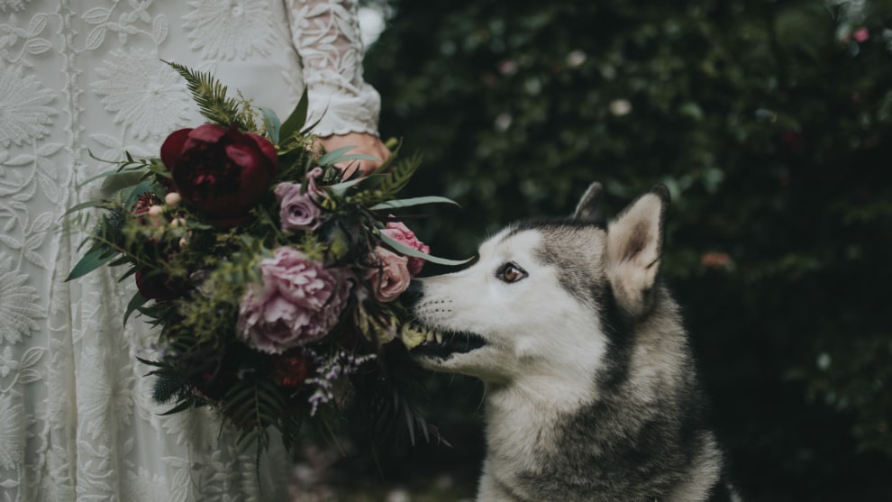 &copy; Ben Sowry. Winner, Wedding. Australasia's Top Emerging Photographers 2018.