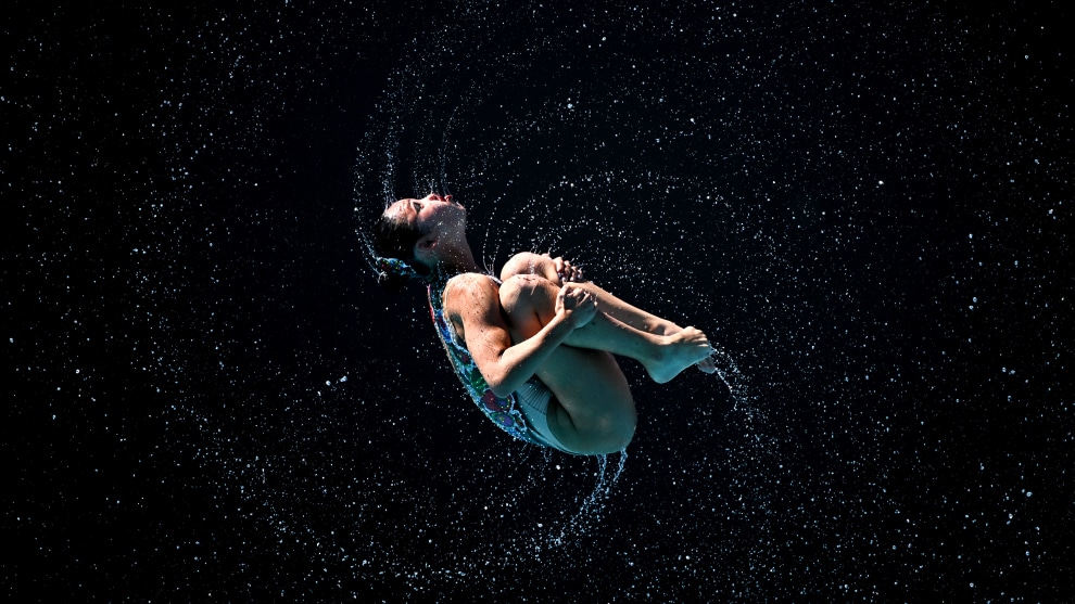 Image: Anna Szilagyi &ndash; Sparkle (supplied by WSPA)