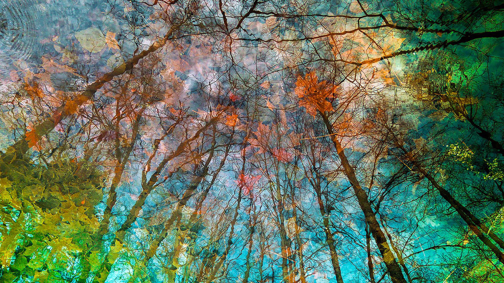 Touch of Autumn, Yuri Pritisk, EPOTY 2017