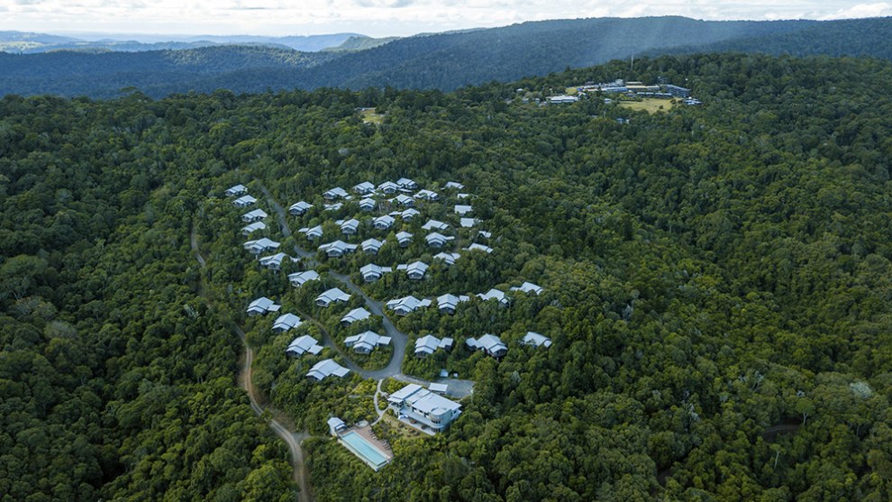 O'Reilly's Rainforest Retreat, Lamington National Park, Queensland.