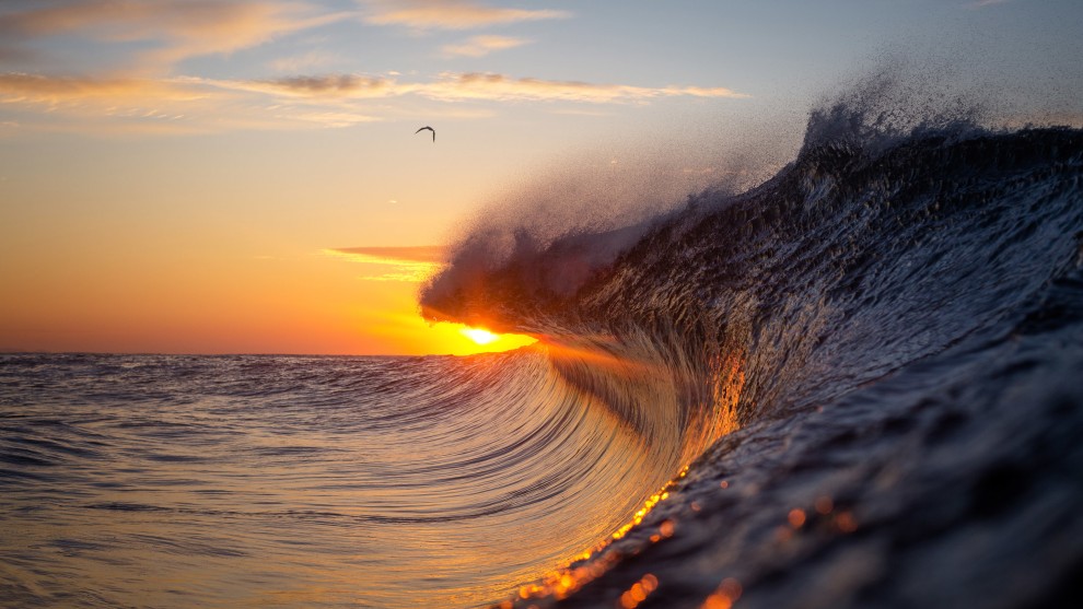 Suncrest.  Canon EOS 5D MkIII, 50mm f1.4 lens @ 50mm, 1/1600s @ f/5.0, ISO 320, Aquatech Housing.