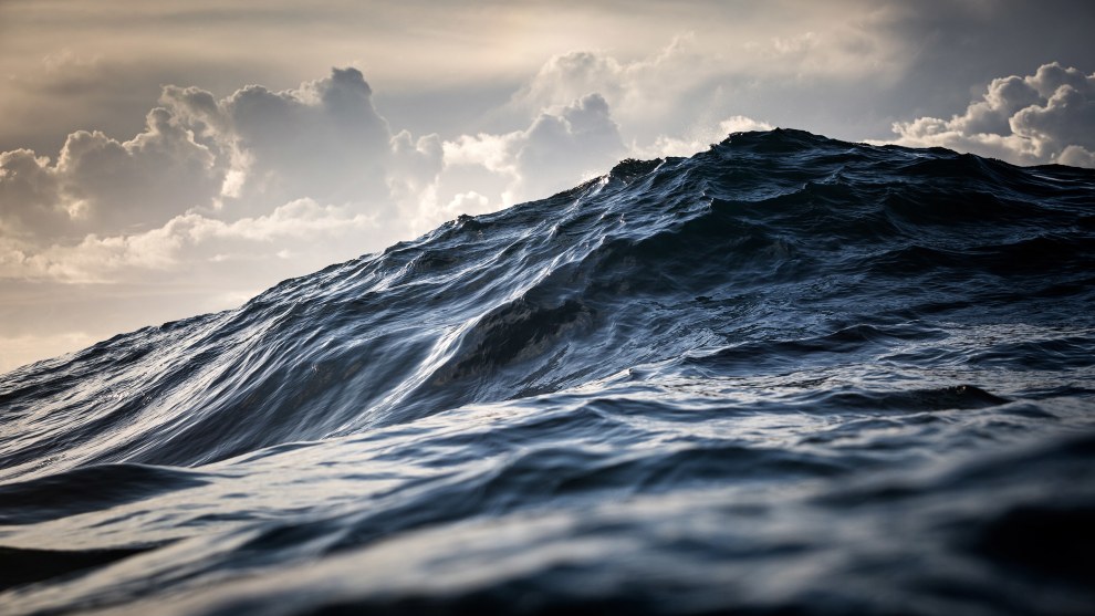 The Great Beyond . Canon EOS 5D MkIII, 70-200mm 2.8 lens @ 105mm, 1/2000s @ f7.1, ISO 320, Aquatech Housing.