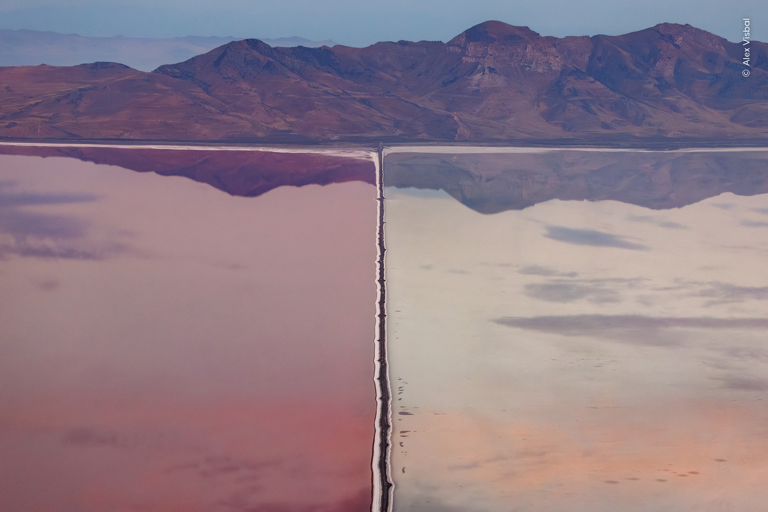 The Great Divide. A causeway divides the waters of Utah's Great Salt Lake. Photo by Alex Visbal / Wildlife Photographer of the Year