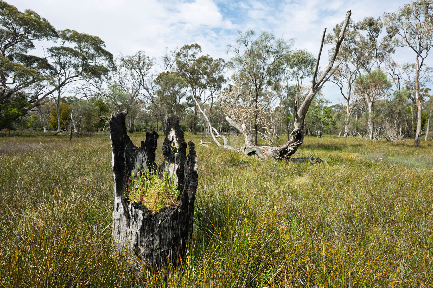 Some landscape photographers are always going prefer premium lenses, but if you are looking to save a some money (and some weight in your backpack) I would definitely be considering the Tamron 20-40mm f2.8 as an option. This image was captured near Lake Fyans in the Grampians using the 20mm setting; the exposure was f11 at 1/100 at ISO 100.