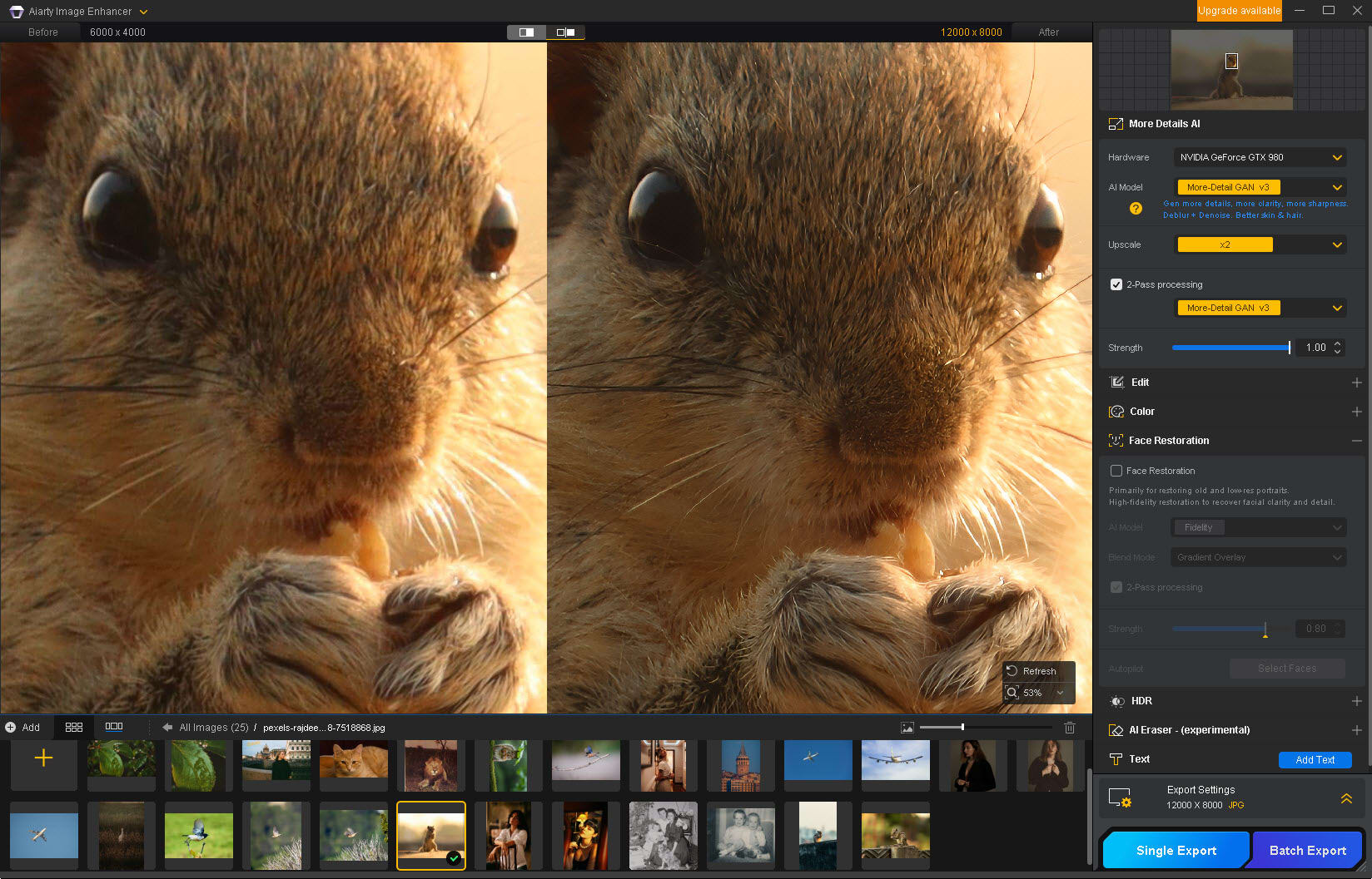 Enhancing details in a cropped telephoto wildlife photo in Aiarty