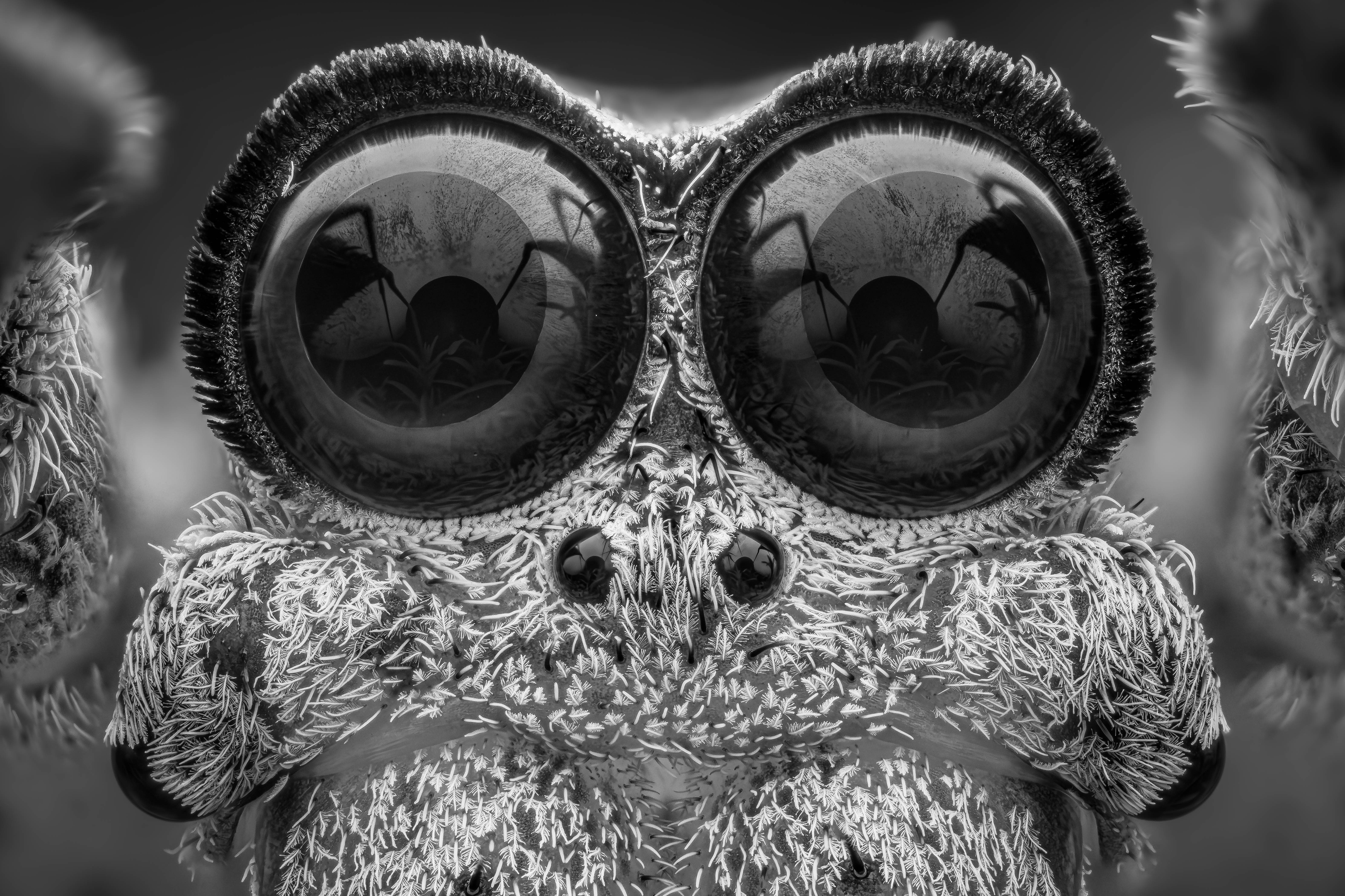 Image: Mono Awards