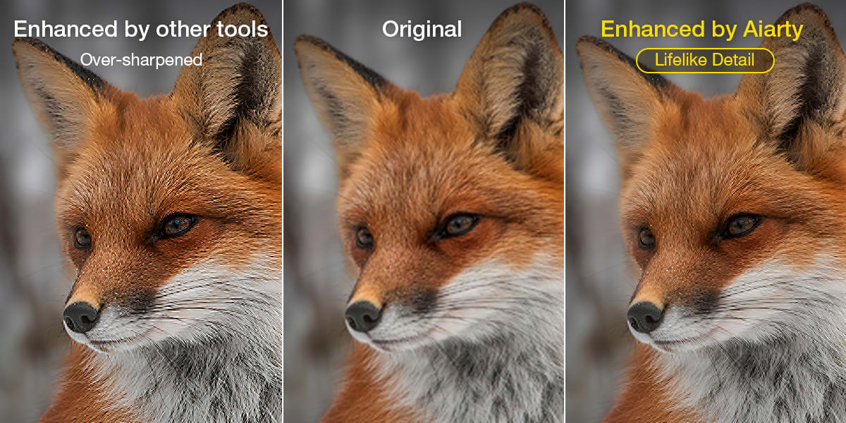 Comparison of results between Aiarty Image Enhancer and other tools