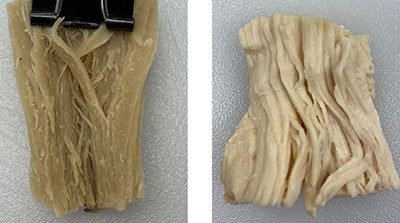 A meat substitute (left) resembles chicken meat (right), but its proteins are not absorbed as well by human cells.
Credit: Adapted from Journal of Agricultural and Food Chemistry 2022, DOI: 10.1021/acs.jafc.2c01711