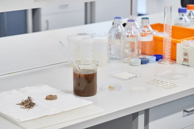 The various stages of the production: dried pseudostem; its powder form; and a jar of alkaline solution that extracts nanocellulose.
